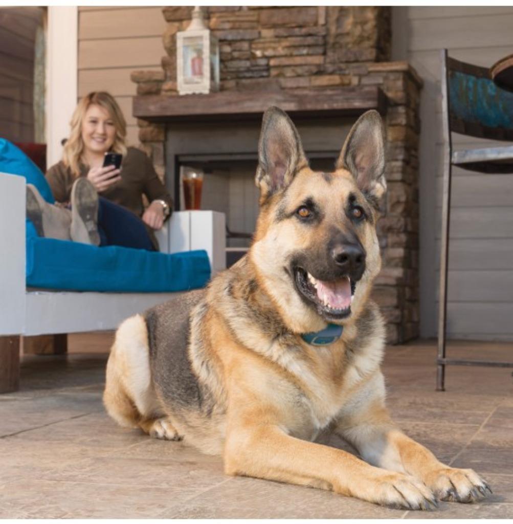 Petsafe 70 meter SMART Dog Trainer PDT19-16200, Dieren en Toebehoren, Ophalen of Verzenden, Nieuw