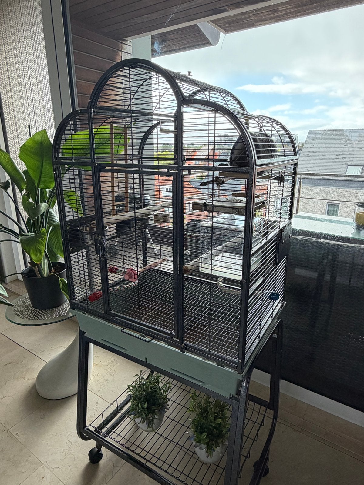 Vogelkooi + vogels, Ophalen, Zo goed als nieuw, Vogelkooi