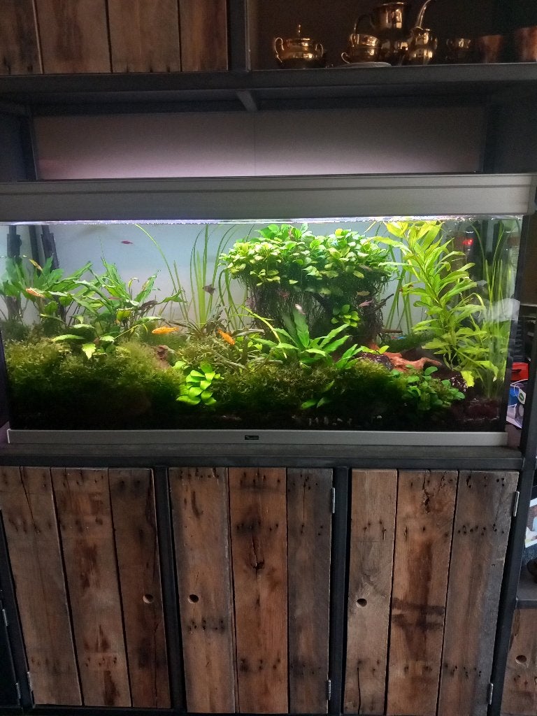 Aquarium, Dieren en Toebehoren, Ophalen, Gebruikt, Aquatlantis, Inclusief controller