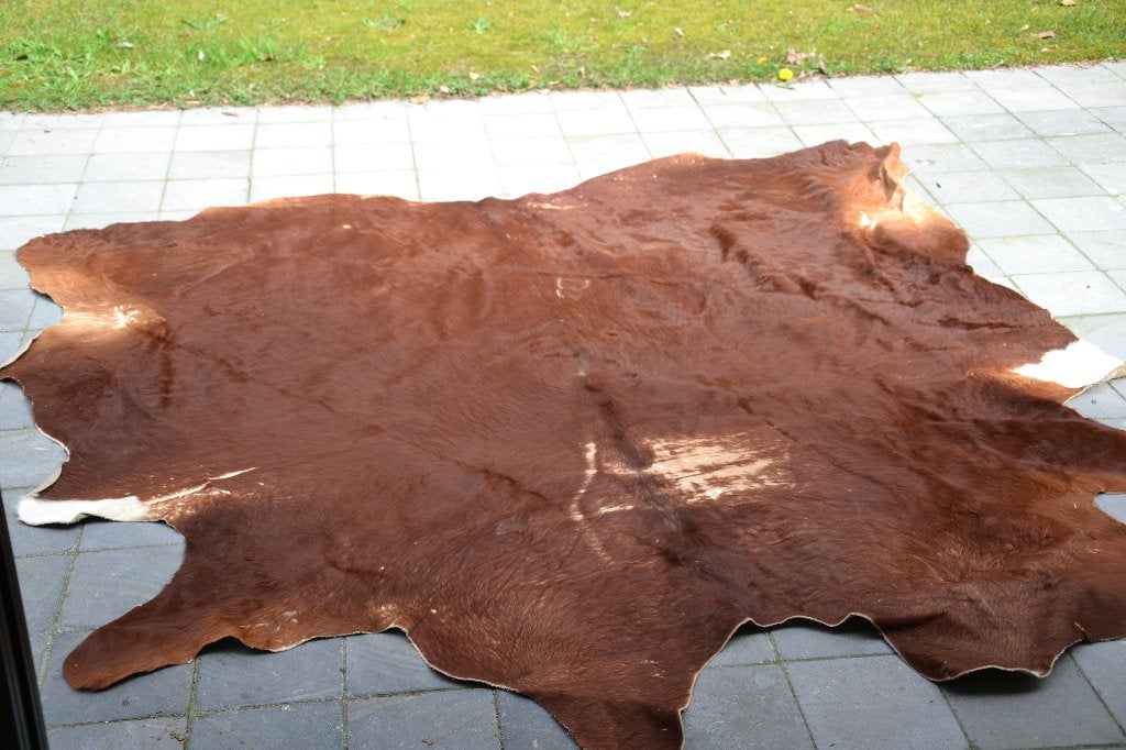 cuir de vache, Maison & Meubles, Ameublement | Tapis & Moquettes, 150 à 200 cm, 150 à 200 cm, Enlèvement, Utilisé