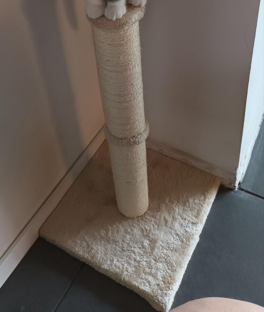 Krabpaal, Dieren en Toebehoren, Krabmeubelen, Ophalen, Zo goed als nieuw, Krabpaal