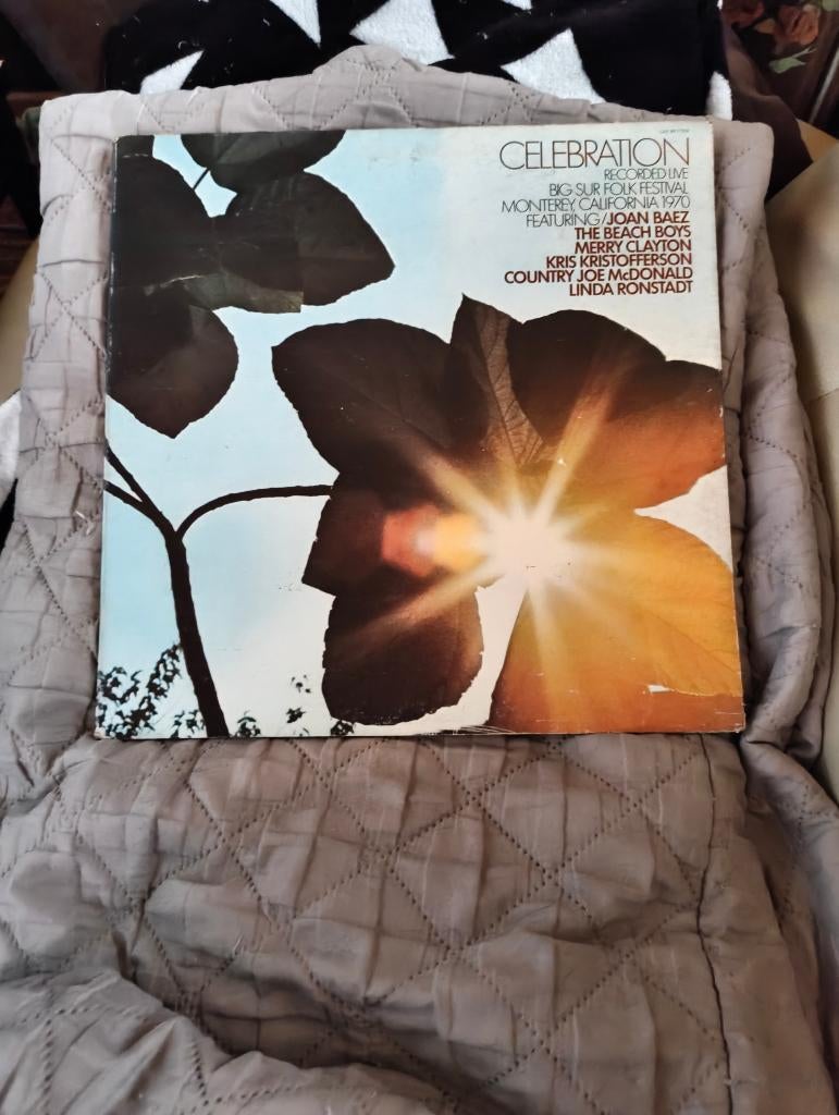 Lp Celebration, CD & DVD, Vinyles | Compilations, Autres formats, Utilisé, Envoi, Autres genres