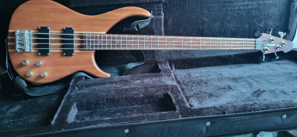 Guitare basse Peavey, Muziek en Instrumenten, Versterkers | Bas en Gitaar, Ophalen, Zo goed als nieuw, Basgitaar