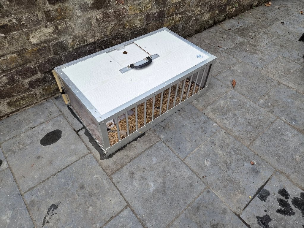 Panier à pigeons (aluminium), Plusieurs animaux, Pigeon voyageur