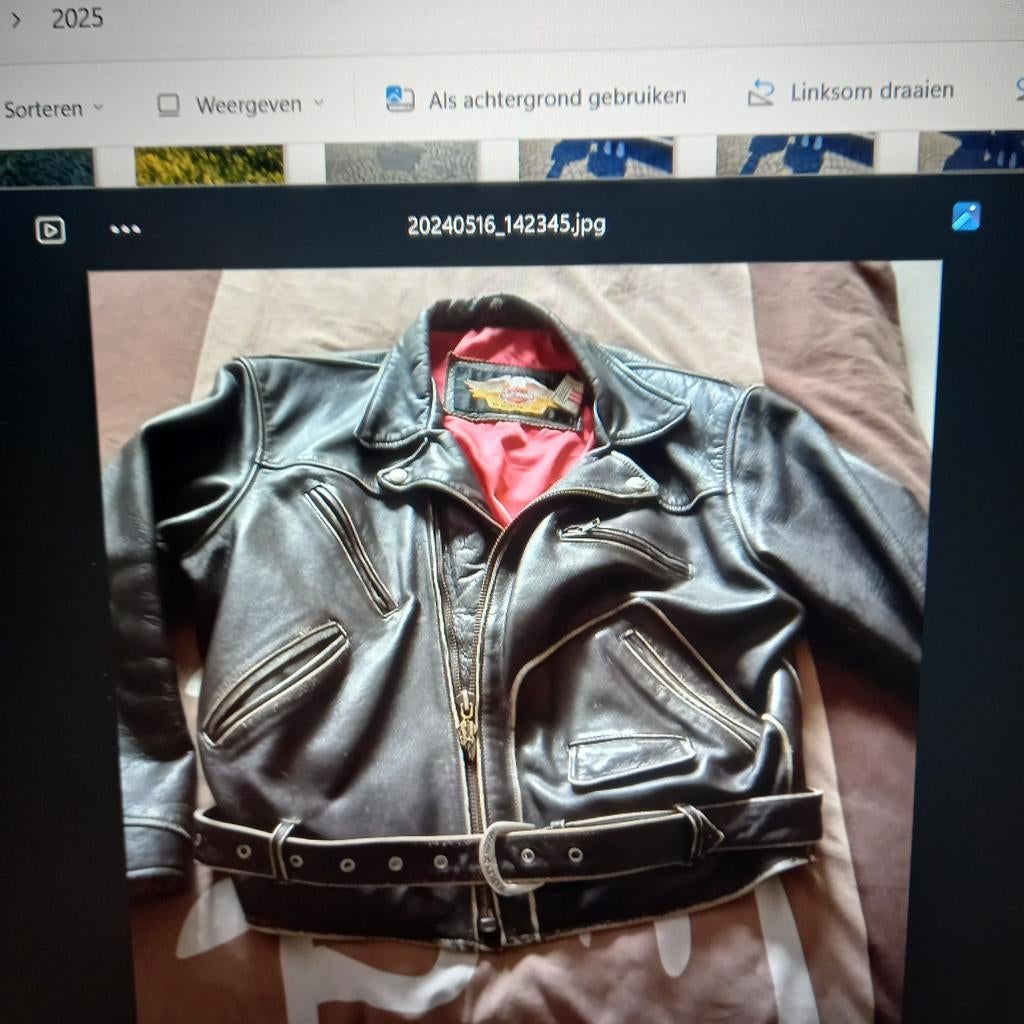 Harley vest, Enlèvement