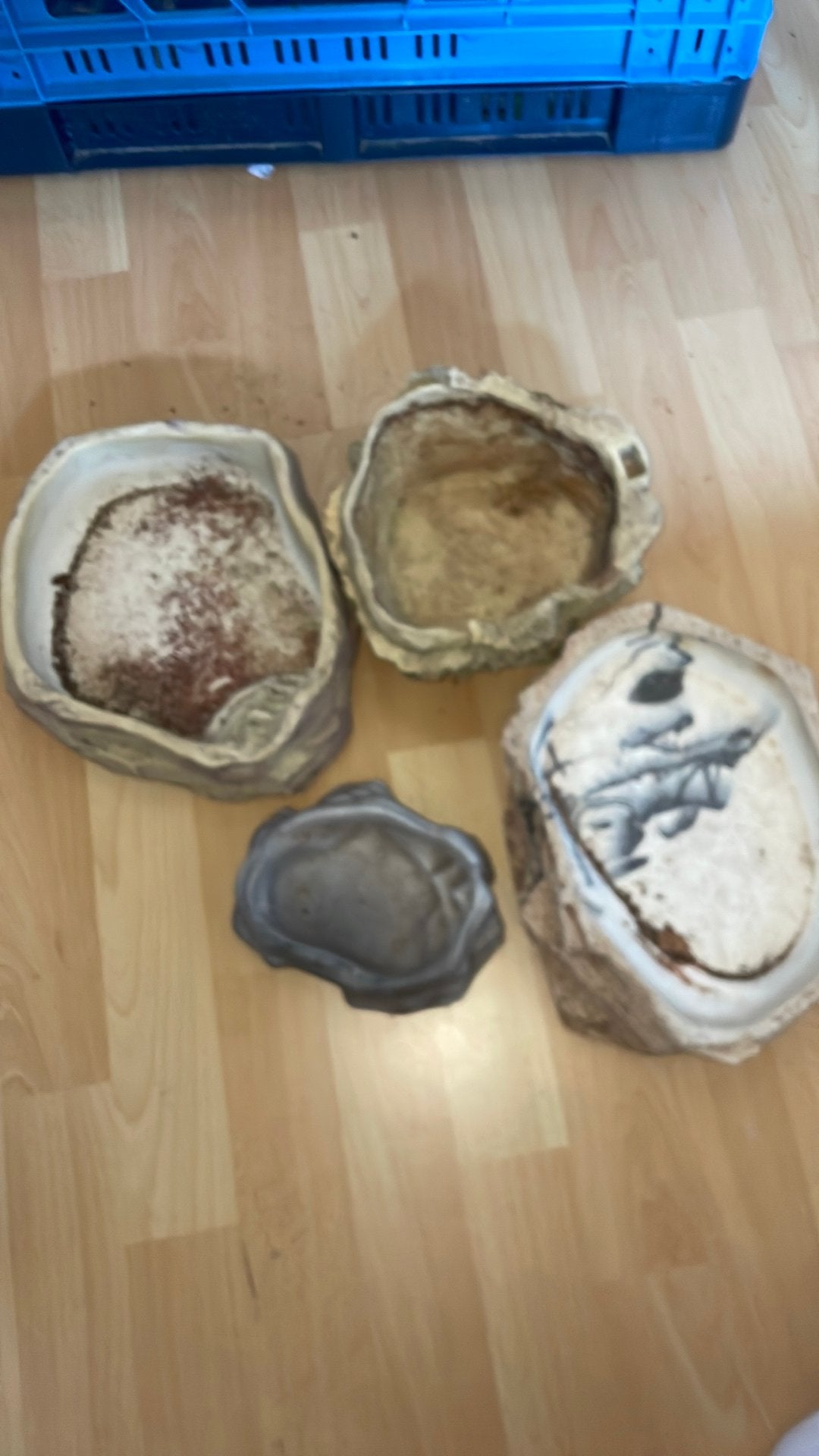 water bakjes terrarium, Dieren en Toebehoren, Ophalen, Gebruikt, Terrarium of Paludarium