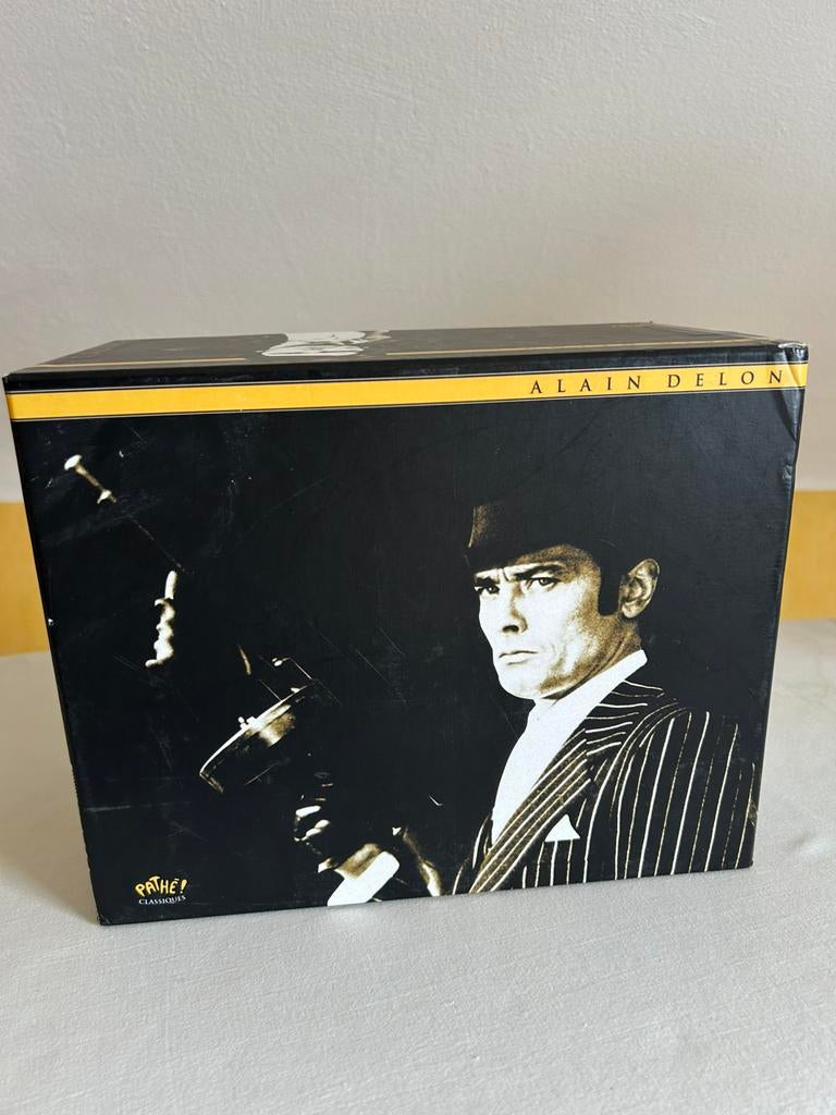 Alain Delon 16 dvd-box, Cd's en Dvd's, Ophalen of Verzenden, Gebruikt