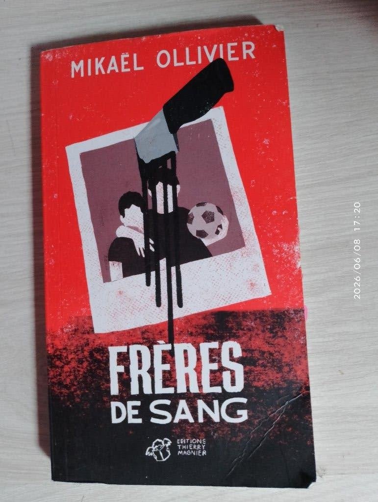 Frère de sang, leesboekje, isbn zie foto, schoolboekje, Ophalen of Verzenden, Zo goed als nieuw, ASO, Frans