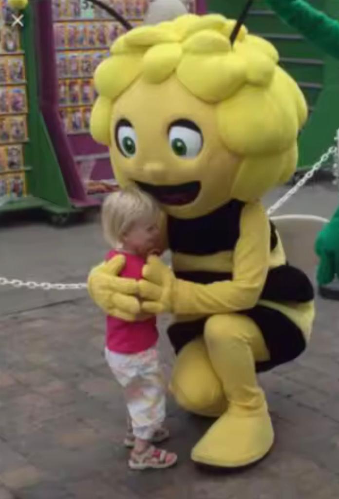 Mascottepak Maya de Bij te huur, Ophalen, Zo goed als nieuw
