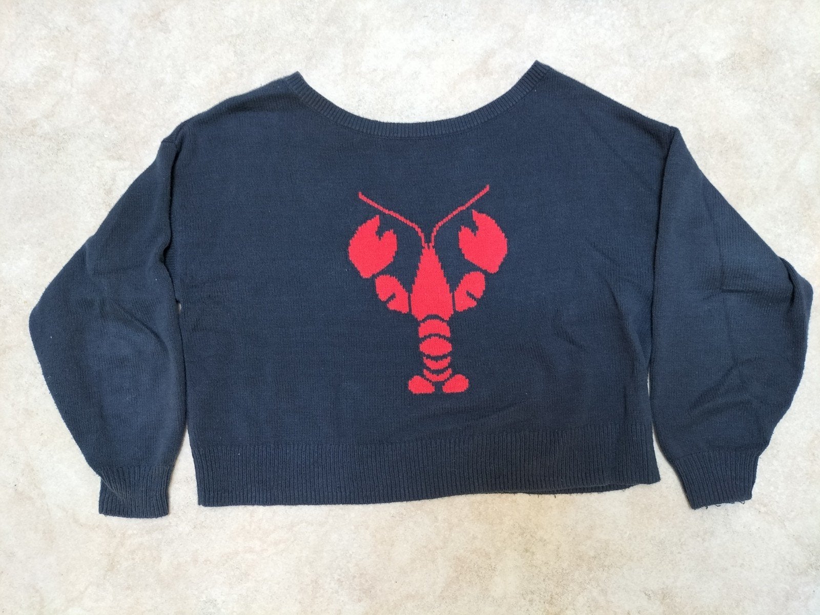 trui gebreid Hollister blauw + rode kreeft, meisjes, 14-16 j, Ophalen, Hollister - EDC - JBC, Trui of Vest