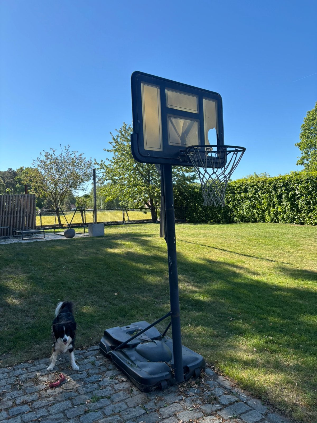 Basketbalpaal met ring, Ophalen, Gebruikt, Ring, Bord of Paal