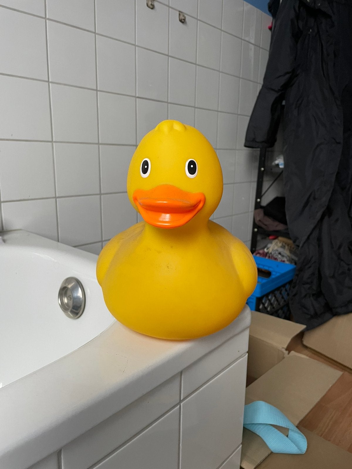 Groot badeend, Ophalen, Zo goed als nieuw, Badeend