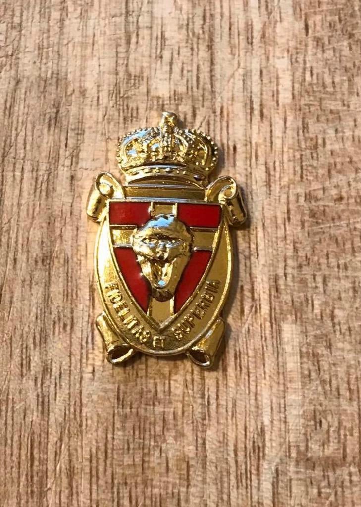 Kenteken Bataljon Bevrijding - goudkleurig, Verzamelen, Ophalen of Verzenden, Landmacht