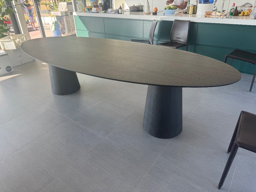 Table à manger Ellips en chêne design 300 x 120 x 73 cm, Neuf, Enlèvement, Chêne, Ovale