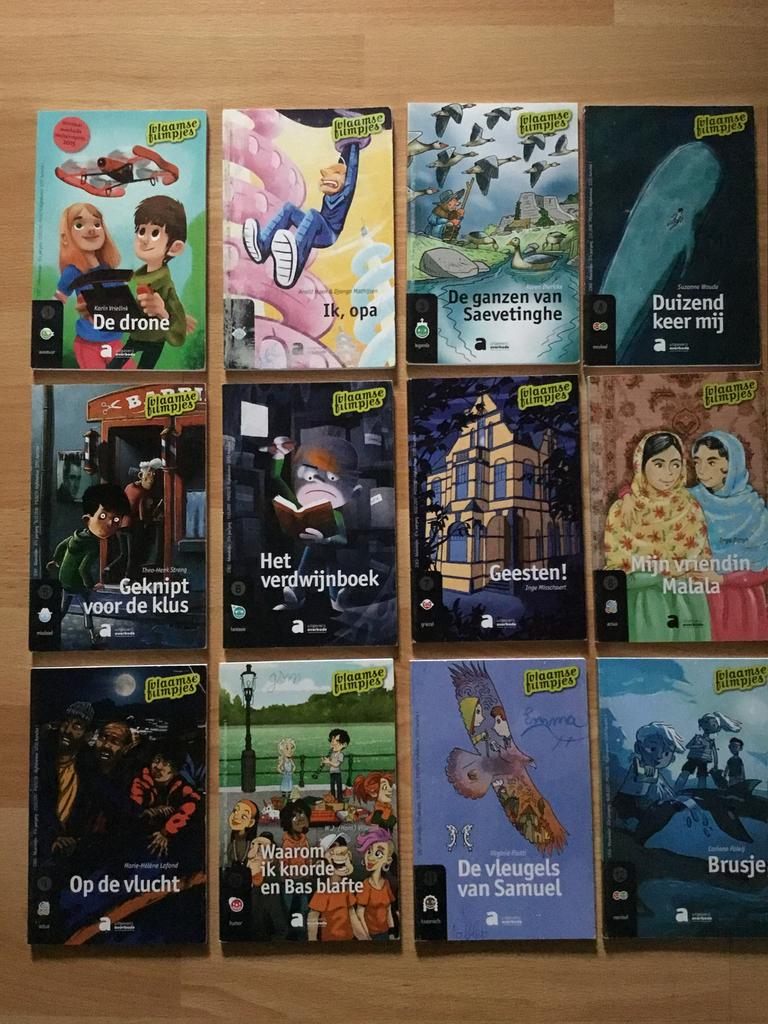 Boeken Vlaamse Filmpjes, Ophalen of Verzenden