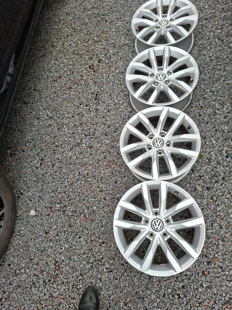 JANTES 16 VAN VW PASSAT, Ophalen