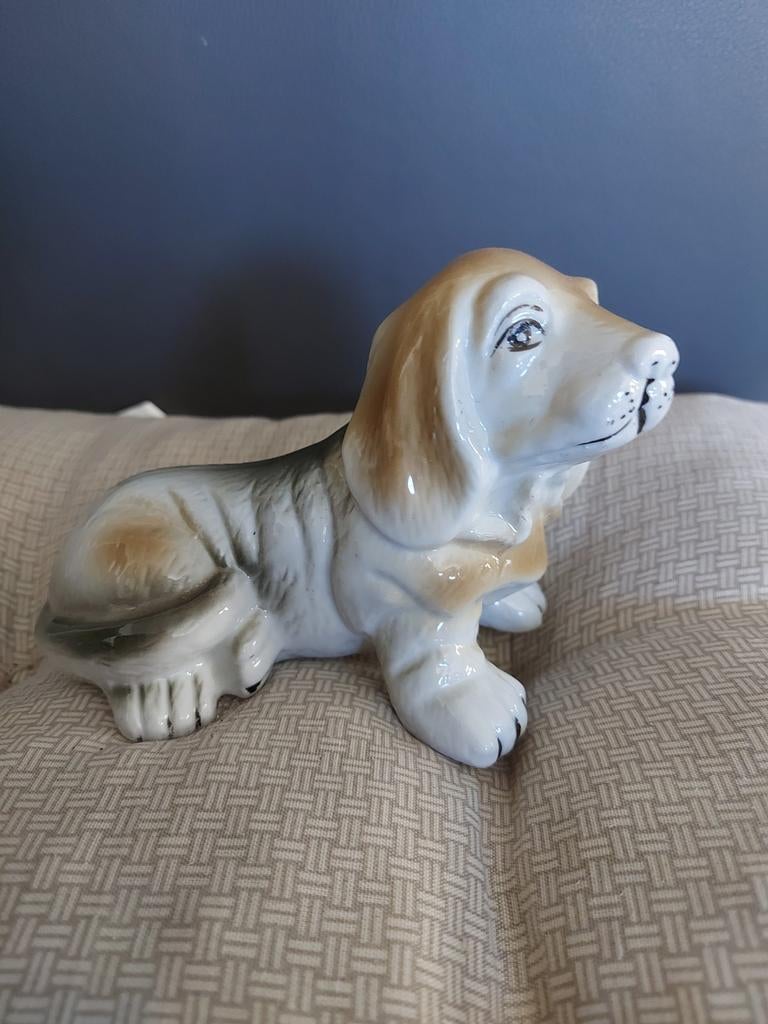 Chien déco, Enlèvement ou Envoi