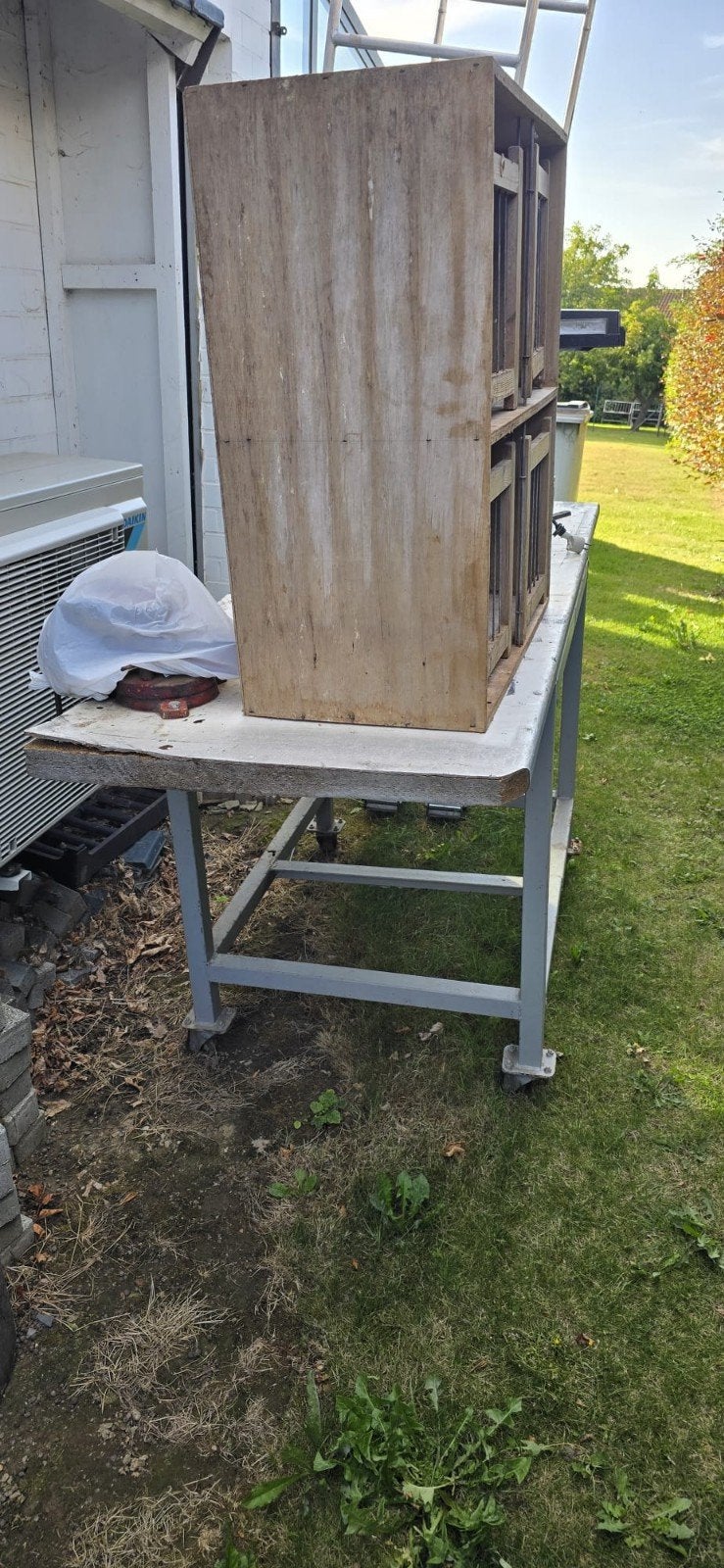 Werktafel op wielen met bankschroef, Doe-het-zelf en Bouw, Ophalen, Gebruikt, Bankschroef