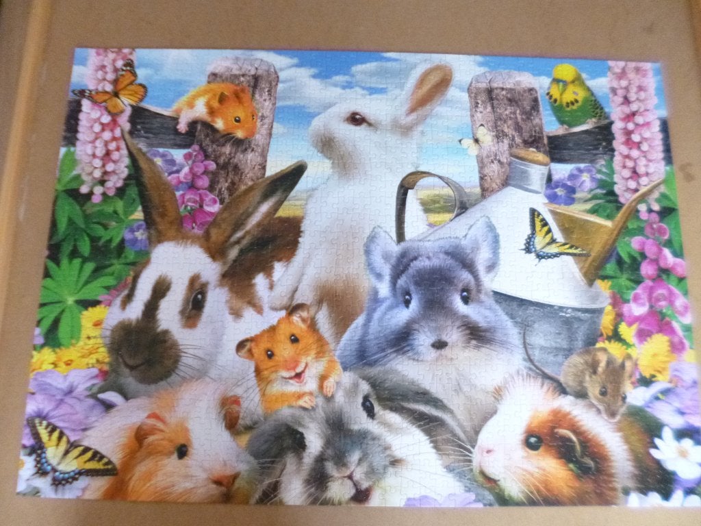 Puzzel 1000 stukjes, Hobby en Vrije tijd, Ophalen of Verzenden