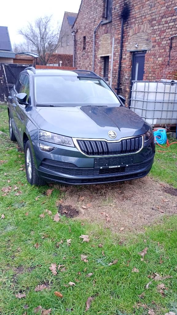 Skoda karoq, Auto's, Skoda, Voorwielaandrijving, Stof, 4 cilinders, Karoq