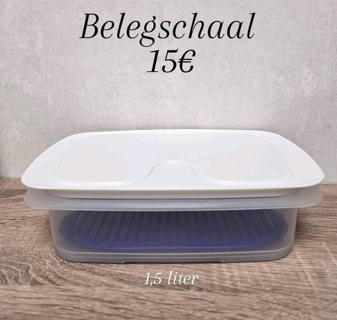 Assiette Tupperware, Enlèvement ou Envoi, Neuf