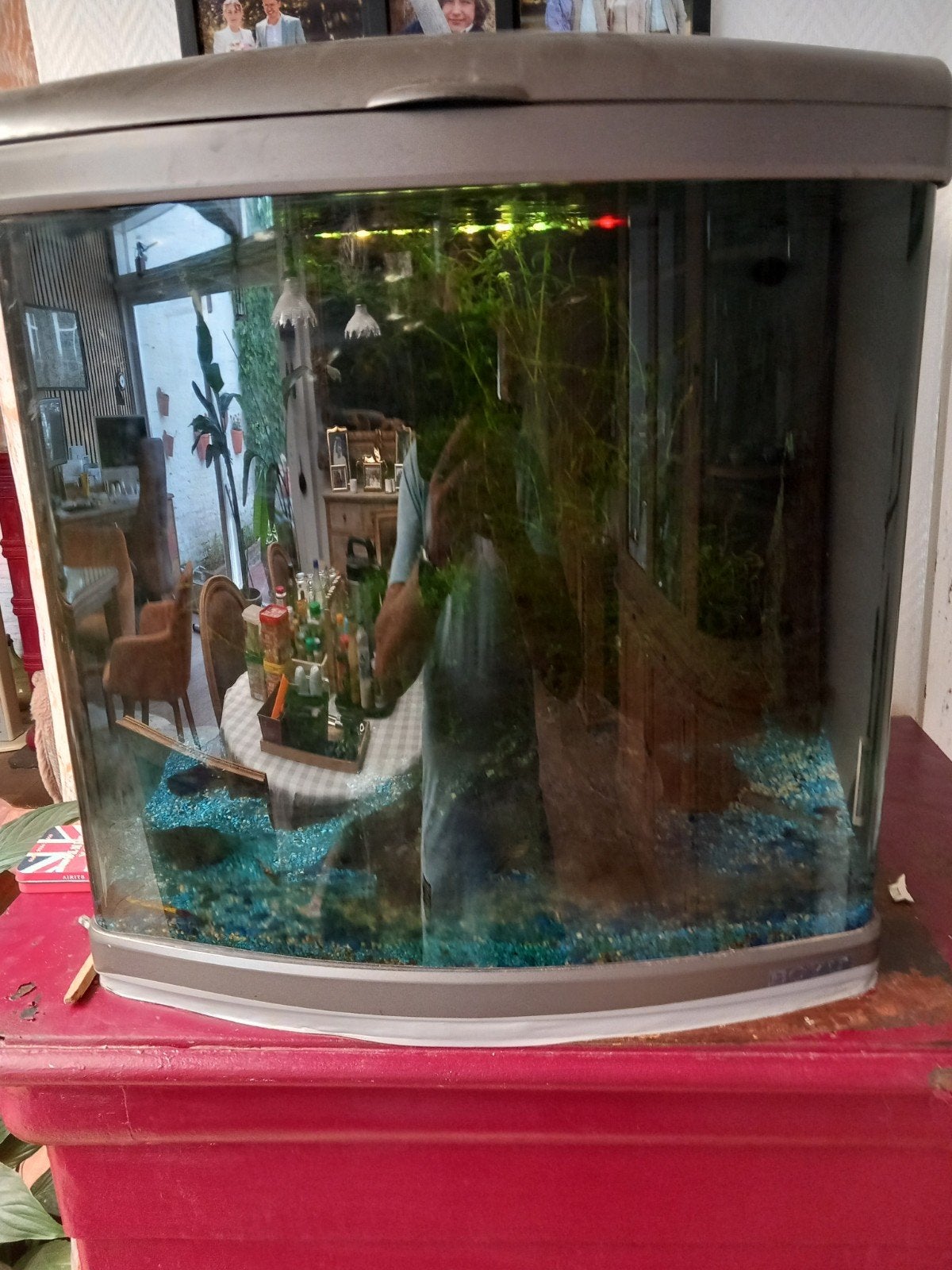 aquarium te koop, Ophalen