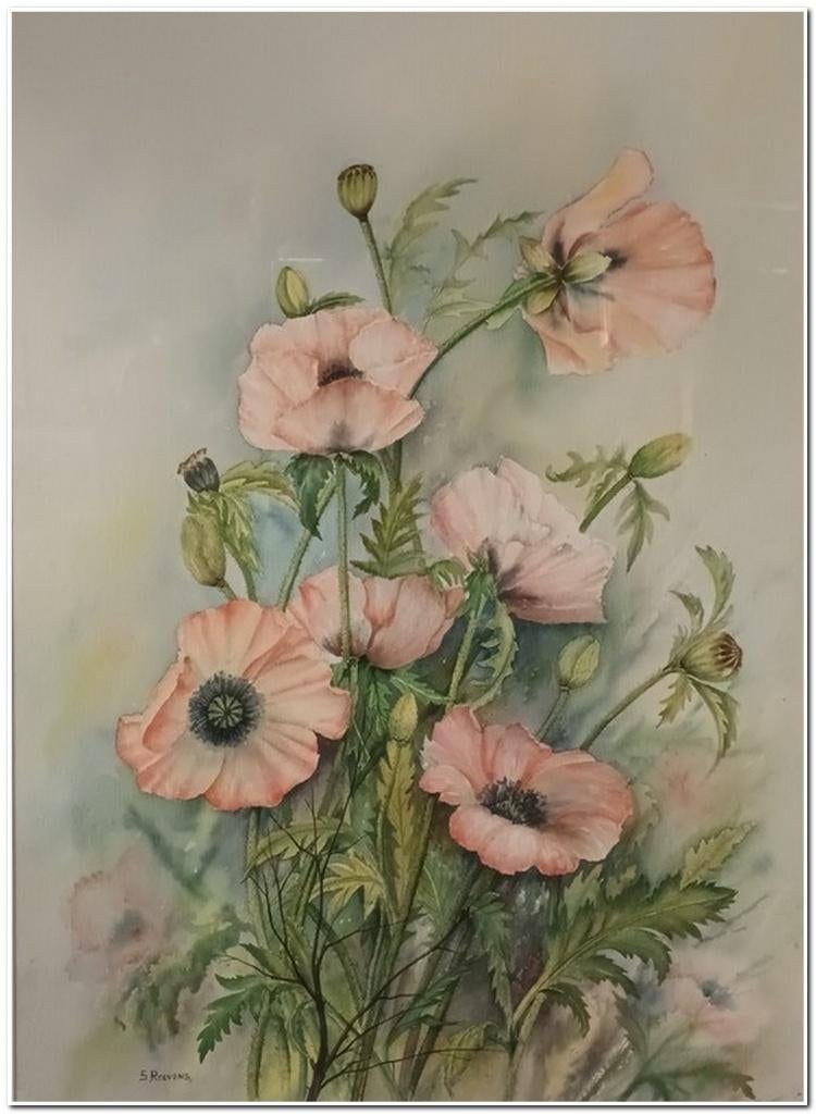 Simone Roevens (XXeeuw) - Aquarel op papier - 75x55cm, Enlèvement