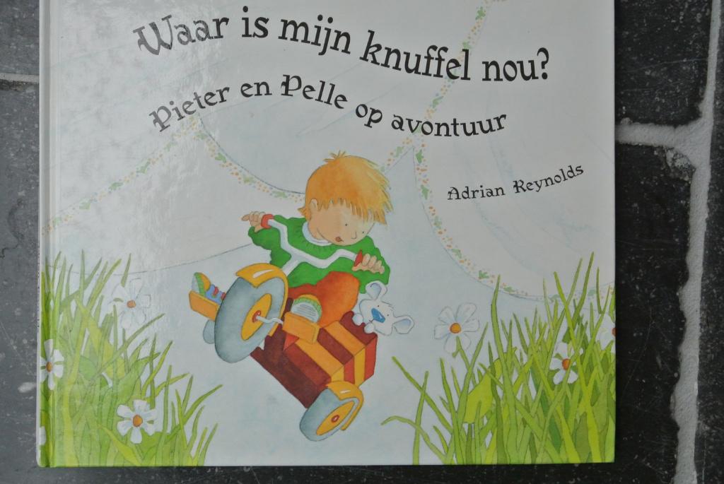 waar is mijn knuffel nou?, Boeken, Ophalen of Verzenden