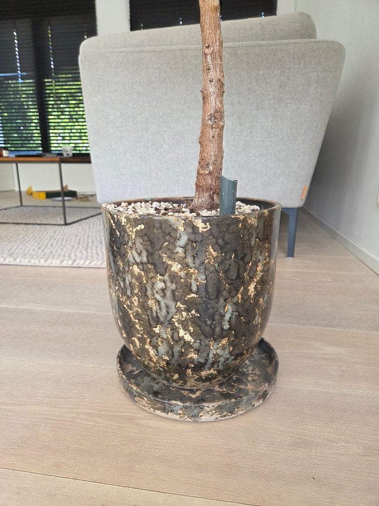 Plant en bloempot, Tuin en Terras, Ophalen, Rond, Binnen, Zo goed als nieuw