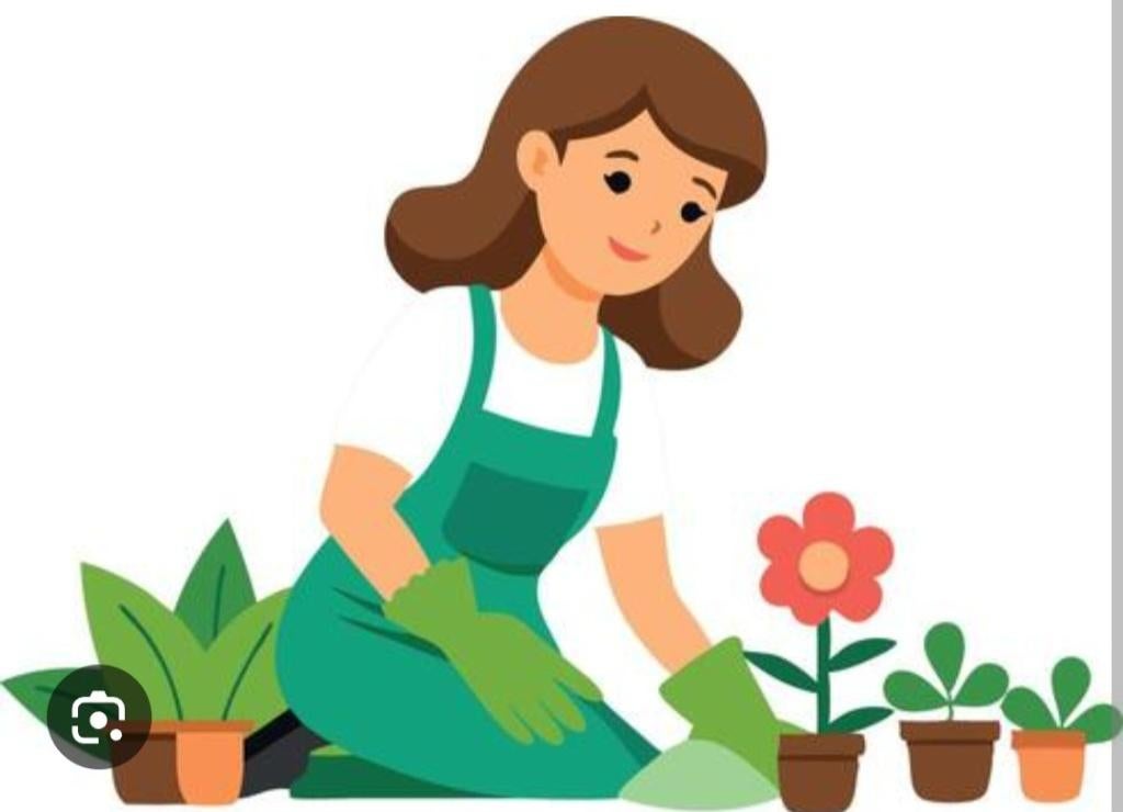 Jardinagem, Enlèvement ou Envoi