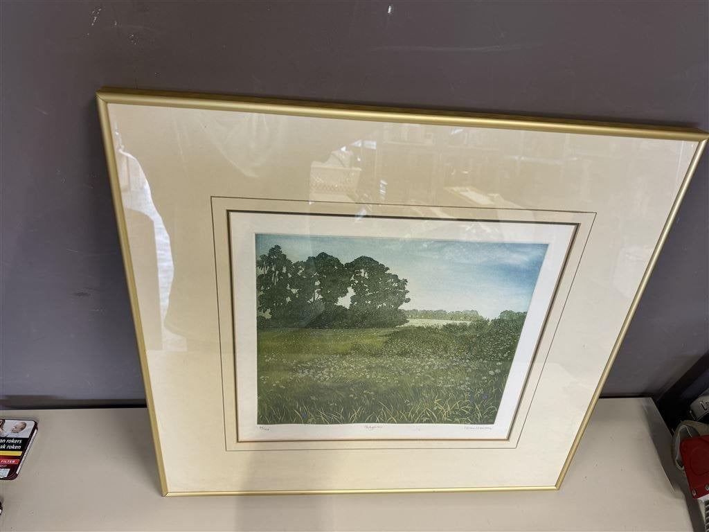 Helen Hanson Etching gelimiteerde editie 86/150 Hedgerow nat, Ophalen of Verzenden, Print