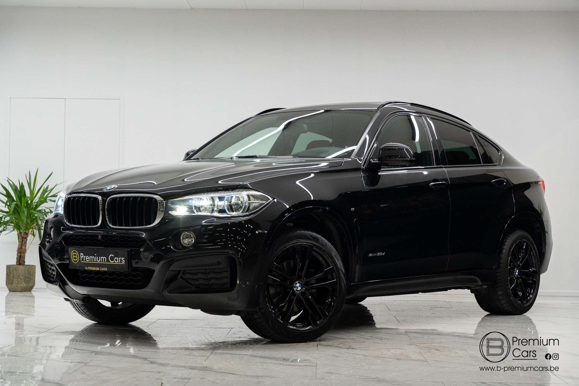 BMW X6 30d xDrive M-Pack Individual! TV! Mega Full options!, Autos, Euro 6, Entreprise, Entretenue par le concessionnaire, 6 cylindres