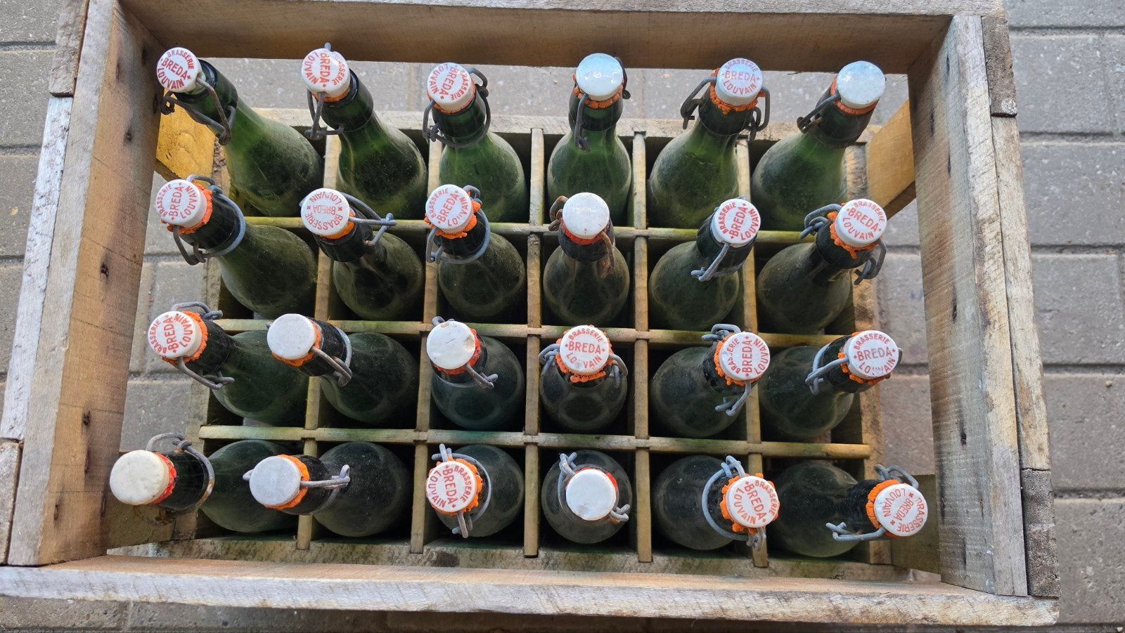 Originele Breda Leuven bierbak 1955 met 24 beugelflessen, Ophalen, Gebruikt, Flesje(s), Overige merken