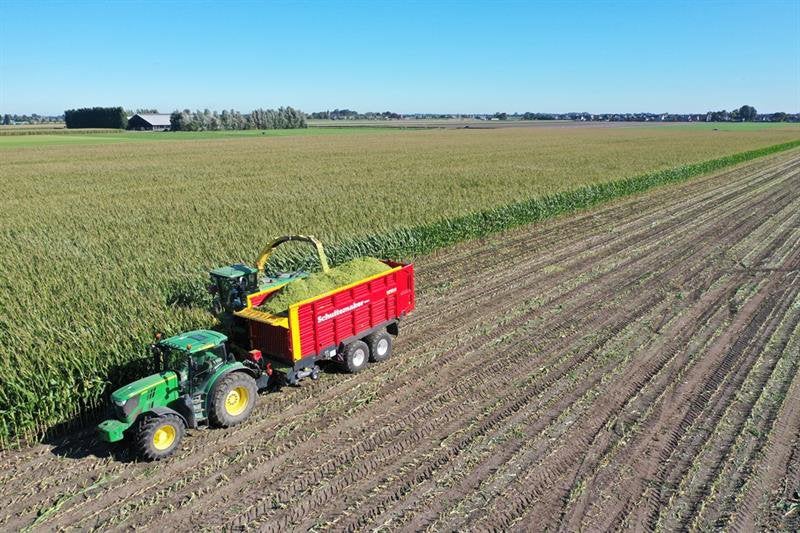 Mais op stam, Zakelijke goederen, Landbouw | Veevoer, Ophalen of Verzenden