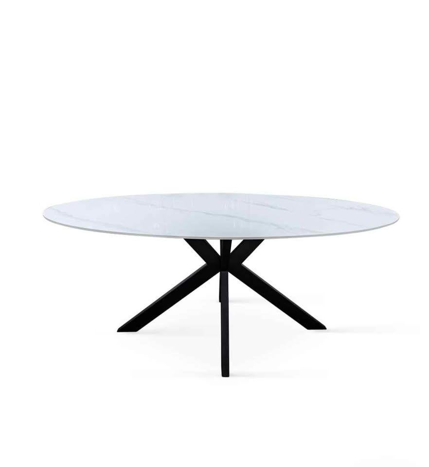 Table de salle à manger ovale, Neuf, 200 cm ou plus, Cinq personnes ou plus, 50 à 100 cm