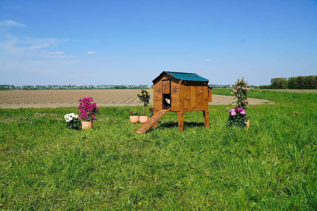 Trespa Kippenhok Cucciolotta | Duplex L, Ophalen of Verzenden, Nieuw, Kippenhok of Kippenren