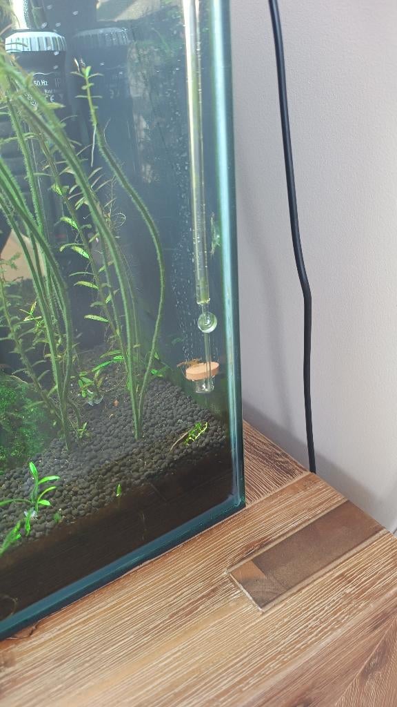 Co2 art dual stage set+difuser+drop checker, Dieren en Toebehoren, Ophalen, Overige merken, Zo goed als nieuw, Inclusief slangen