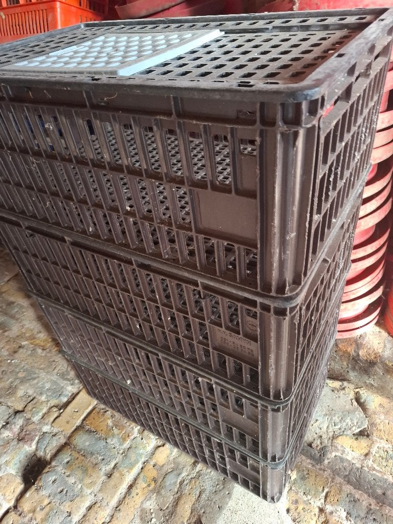 À vendre, Animaux & Accessoires, Enlèvement, Utilisé, Synthétique, Autres types