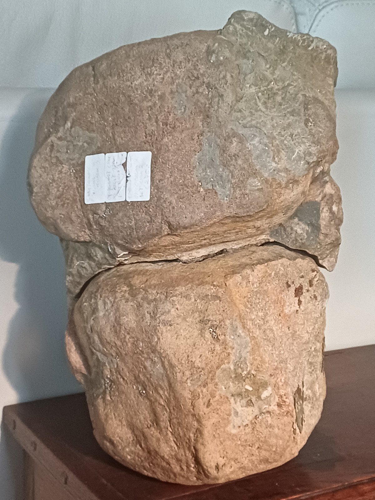 2 vertèbres de baleine fossilisées fossiles provenant du Por, Enlèvement ou Envoi, Fossile