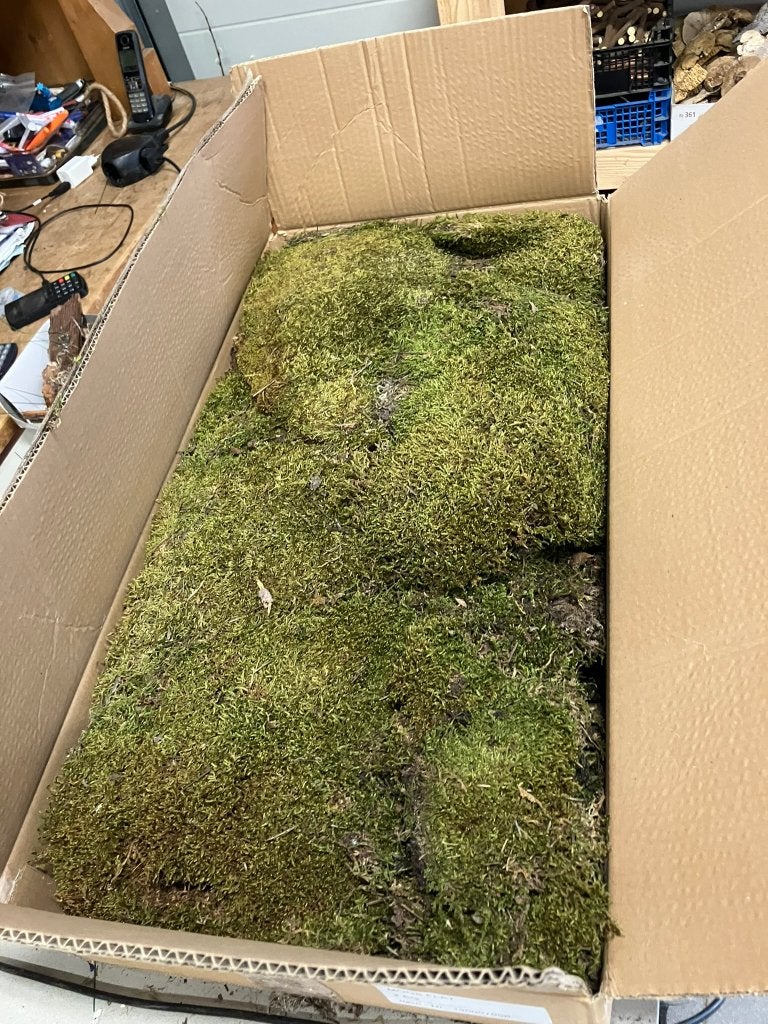 Partij platmos in doos 2 kg, Diversen, Kerst, Ophalen, Nieuw