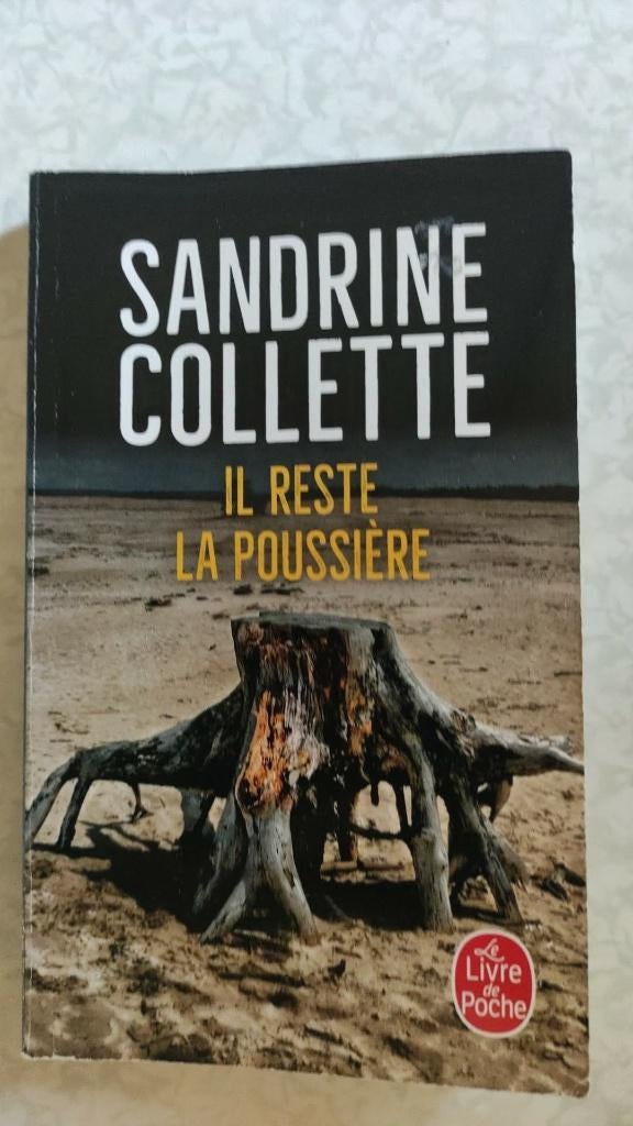 Sandrine Collette - Il reste la pousière, Enlèvement, Utilisé