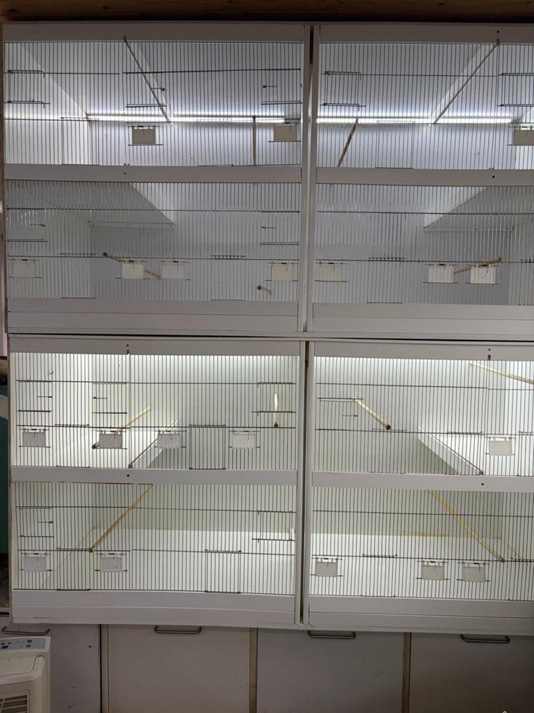 Cages en PVC entièrement équipées - avec éclairage LED, Enlèvement, Comme neuf
