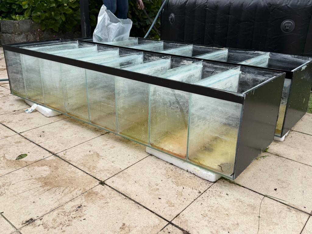 2 aquariums in meerdere verdeeld, Dieren en Toebehoren, Vissen | Aquaria en Toebehoren, Gebruikt, Leeg aquarium, Ophalen