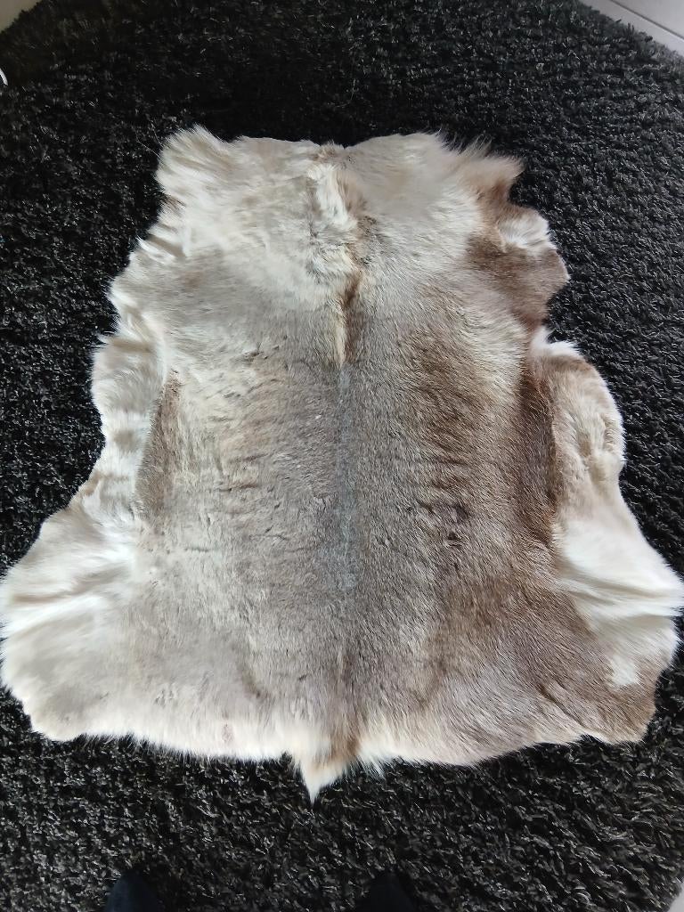 Als je deze  eye-catcher graag zie , reageer maar snel dan ?, Verzamelen, Dierenverzamelingen, Ophalen, Nieuw, Hert, Opgezet dier