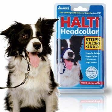 Collier de dressage, Enlèvement, Neuf