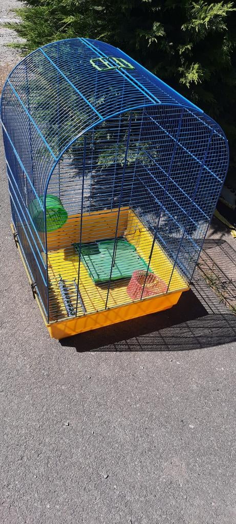 Hamsterkooi, Dieren en Toebehoren, Ophalen