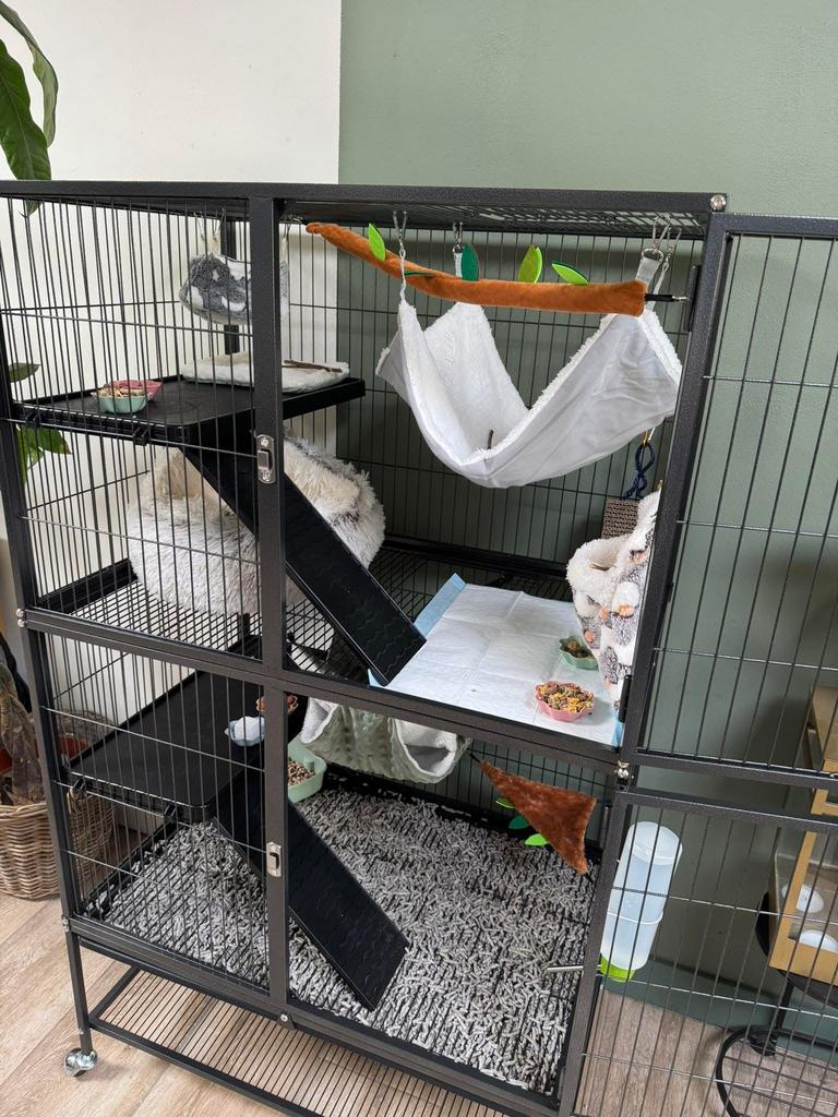 Rattenkooi + ratjes, Dieren en Toebehoren, Ophalen, Zo goed als nieuw