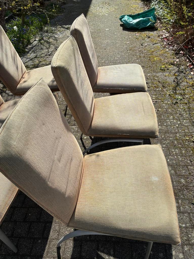 Set Rolf Benz eettafel stoelen, Huis en Inrichting, Tafels | Eettafels, Ophalen, Gebruikt