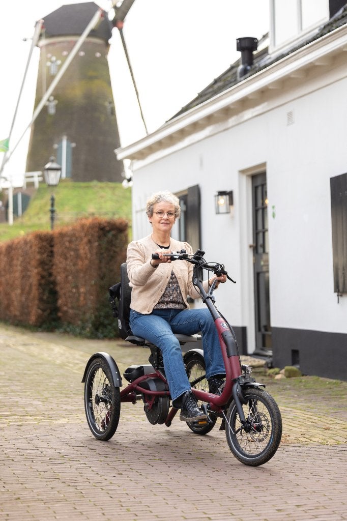 Gezocht Driewielfiets: Bijvoorbeeld Van raam easy rider, Ophalen