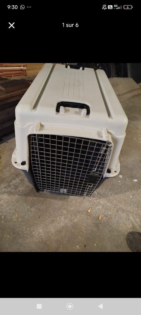 Cage transport pour chien, Ophalen, Gebruikt